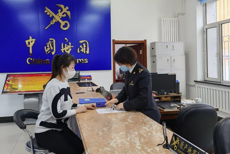 报关及清关服务